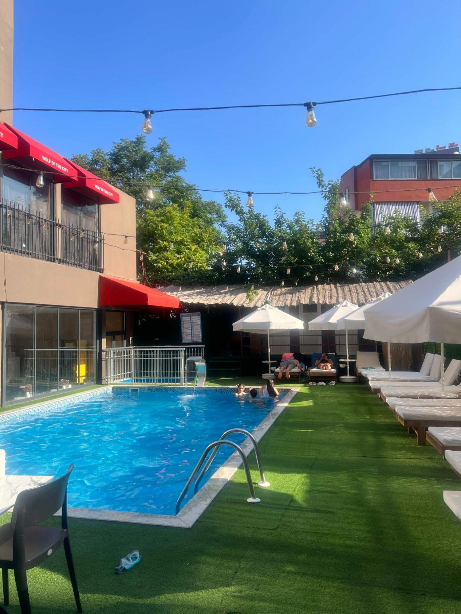 Wolf Of The & Otel Antalya